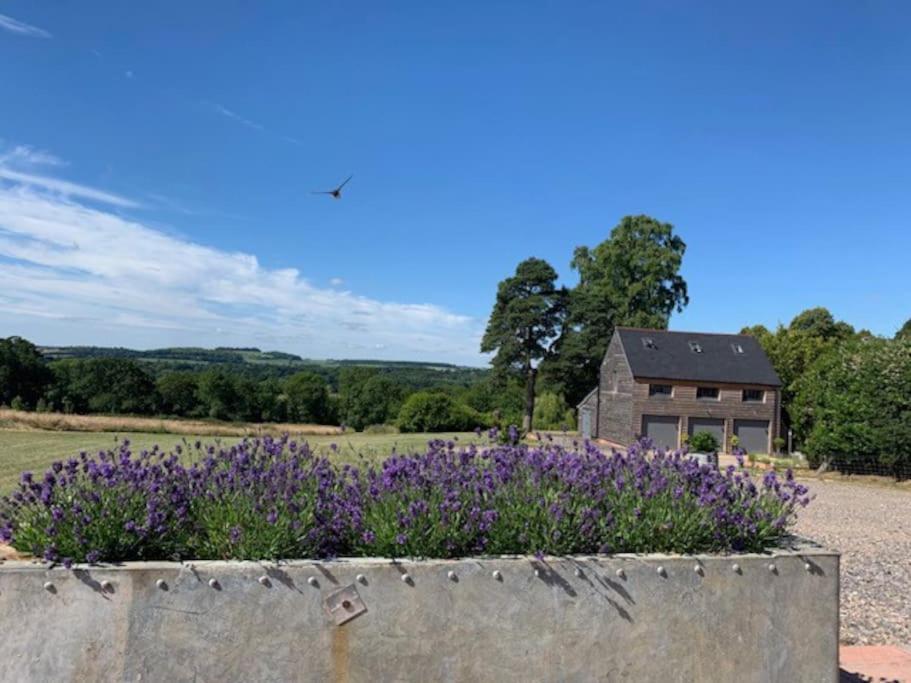 The Coach House Alderbury Exterior foto